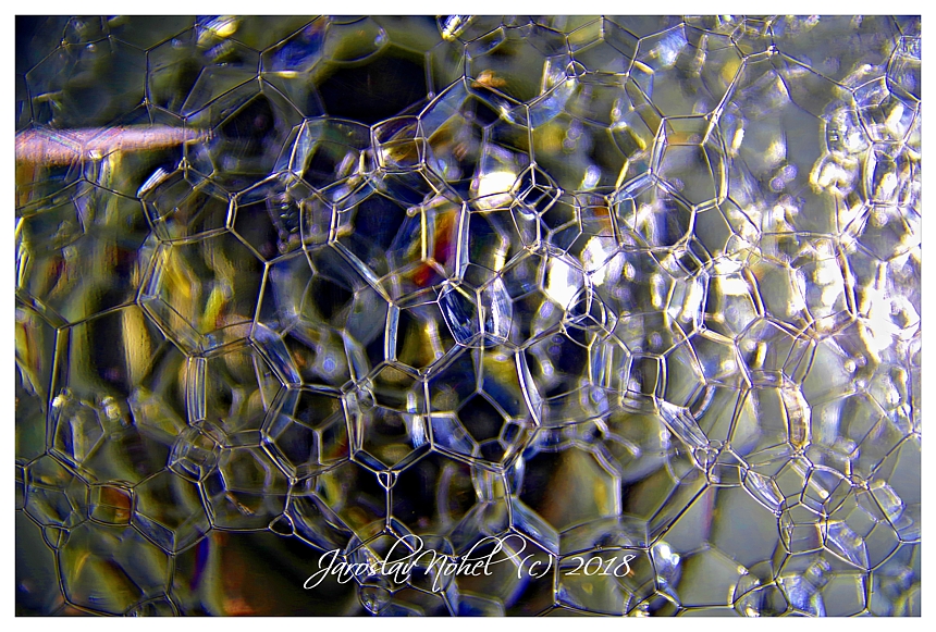 Bubbles 4178
