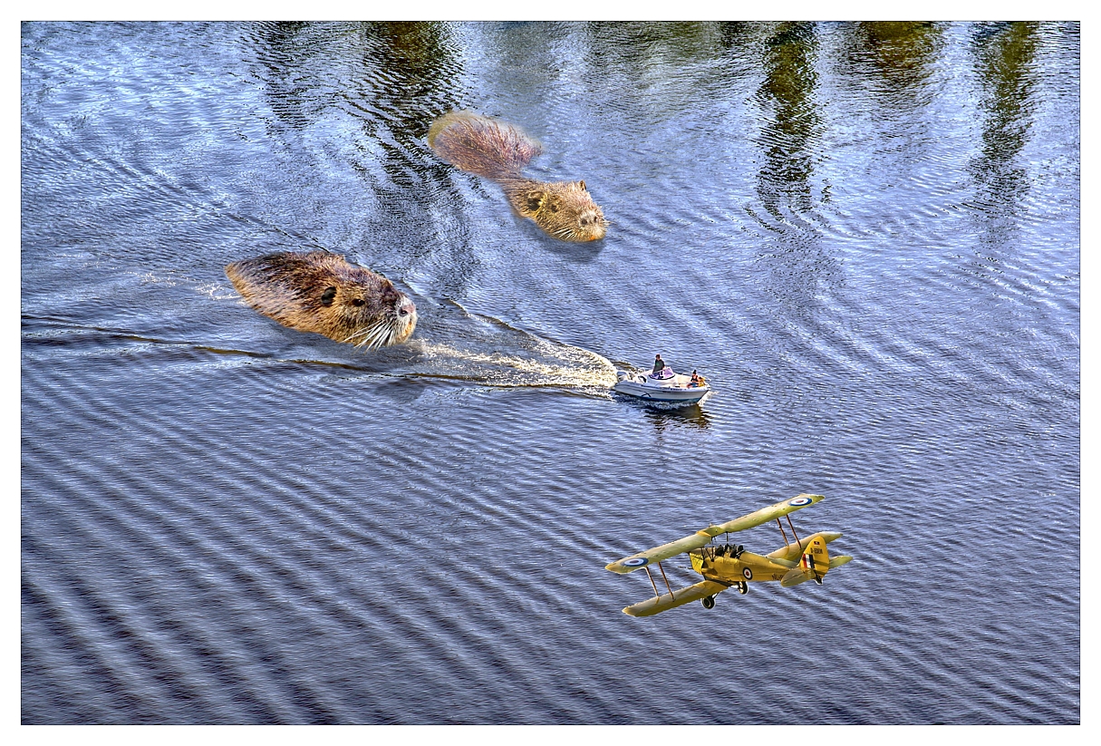 Drama pod Vyšehradem