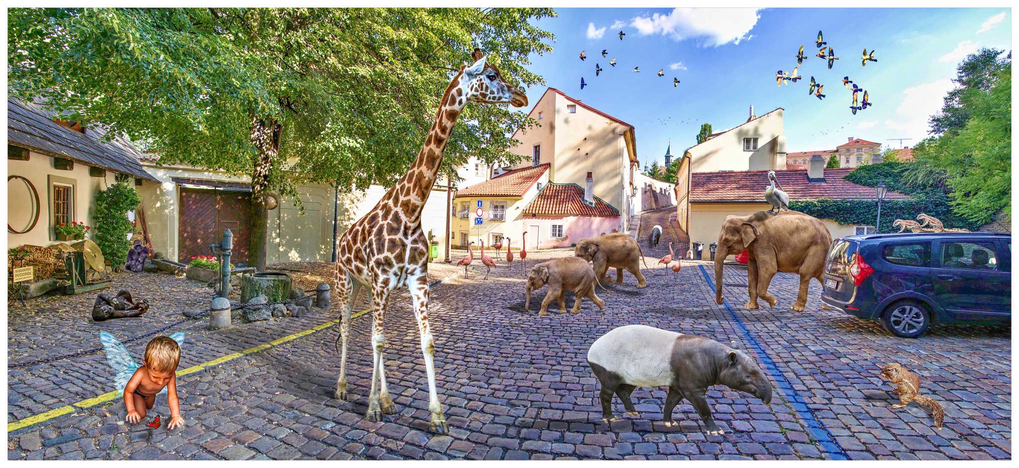 Nový svět - New World