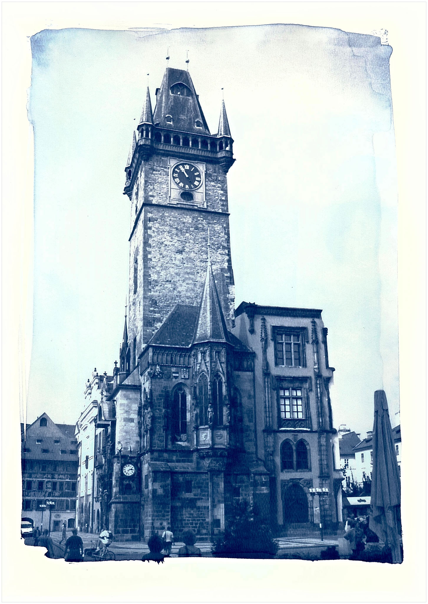 Kyanotypie - Modrotisk